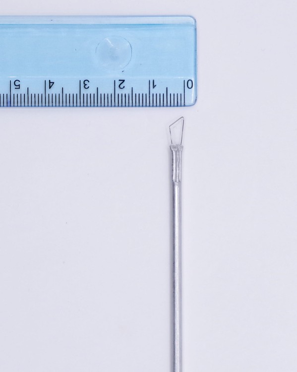 IMGP5505.jpg