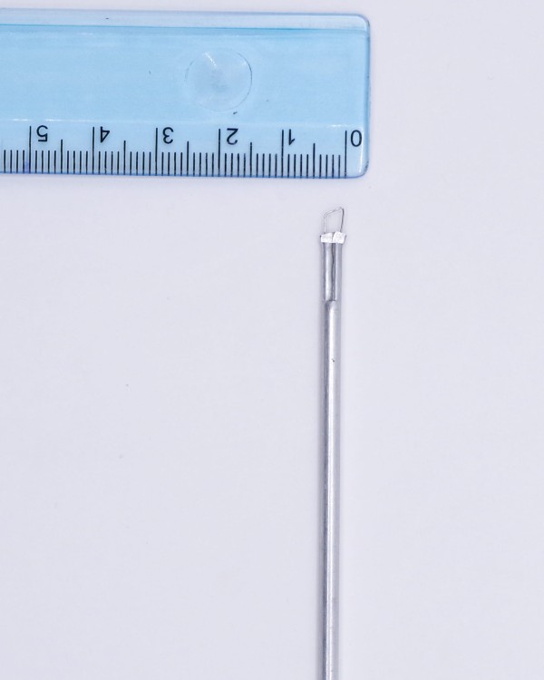 IMGP5506.jpg