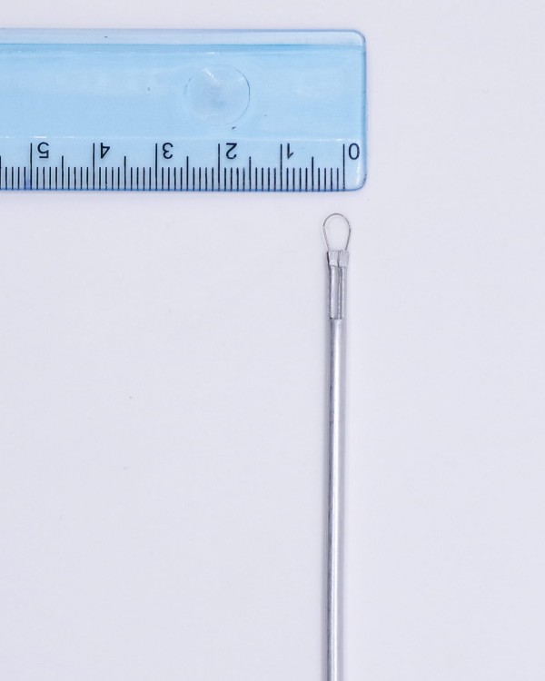 IMGP5507.jpg