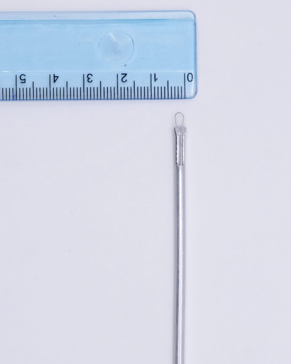 IMGP5508.jpg