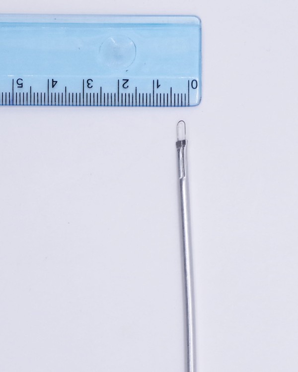 IMGP5509.jpg