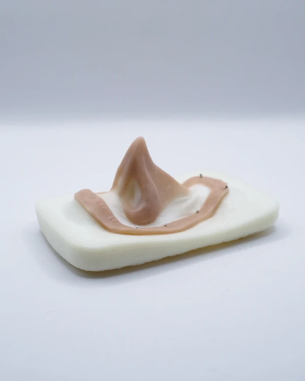 IMGP5958.jpg